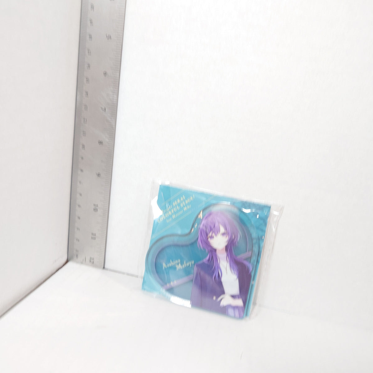 Mafuyu Asahina 25-ji, Nightcord de Project Sekai x ZOZOTOWN Acrylic Block