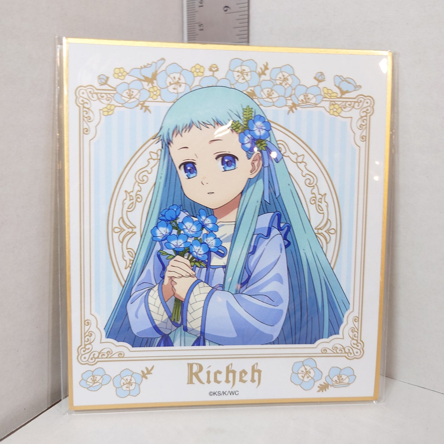 Richeh Witch Hat Atelier Shikishi