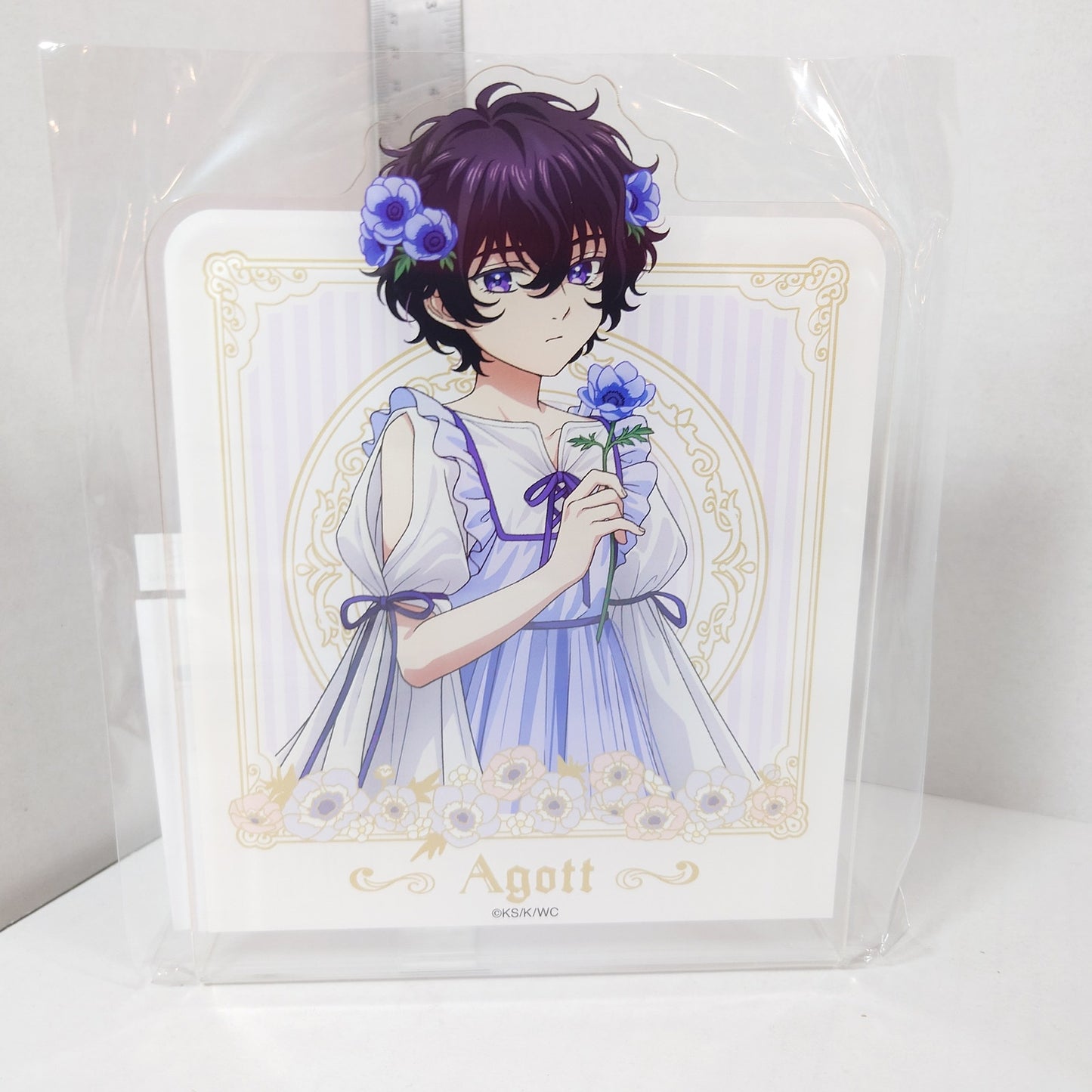 Agott Witch Hat Atelier Acrylic Bookend Stand