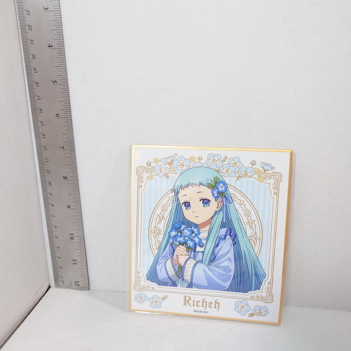 Richeh Witch Hat Atelier Shikishi