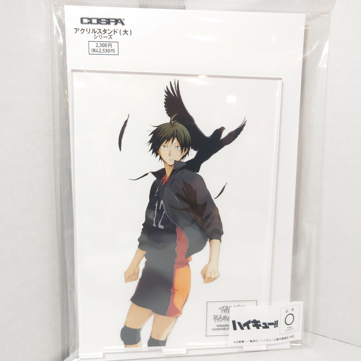 Tadashi Yamaguchi Haikyuu! Acrylic Panel/Stand