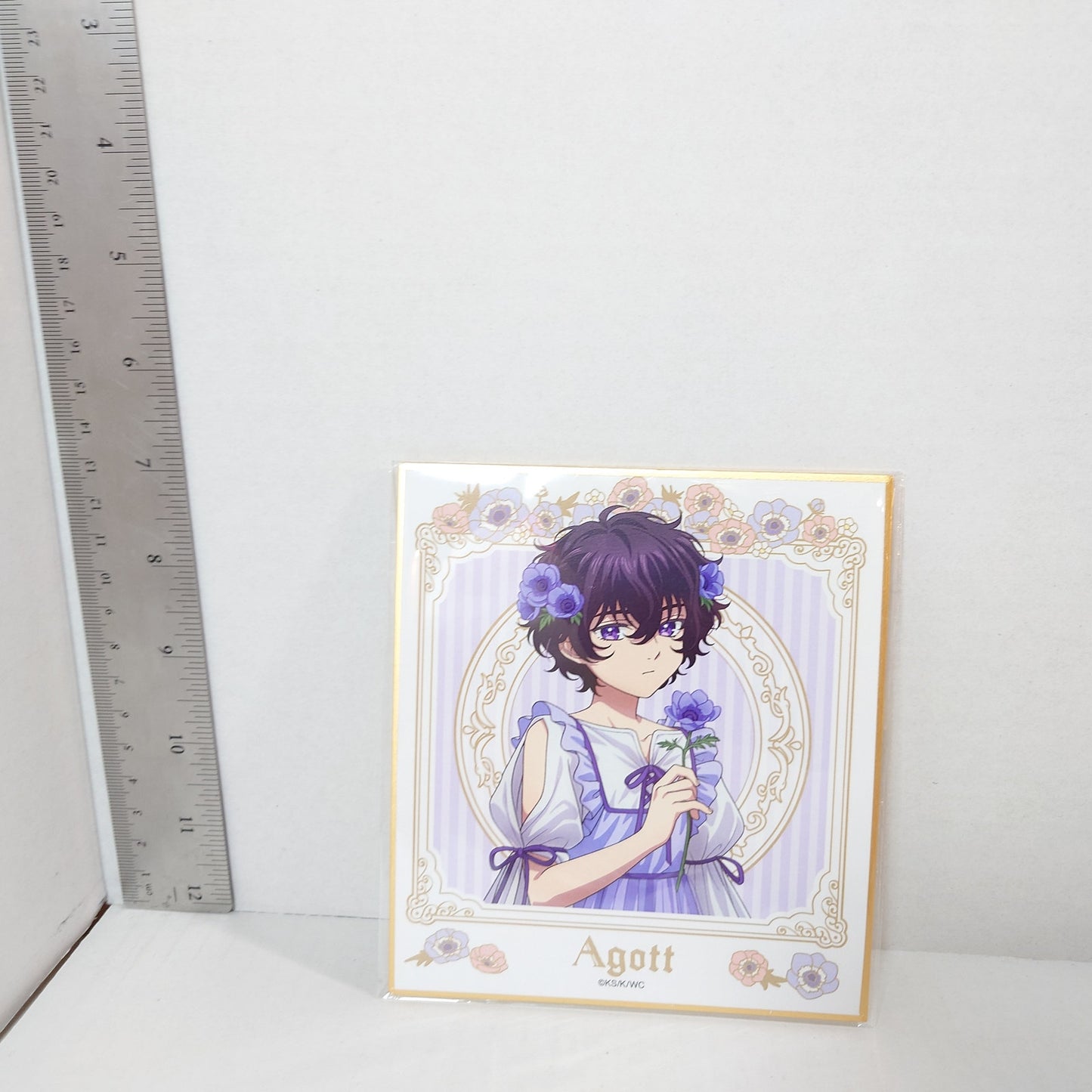 Agott Witch Hat Atelier Shikishi