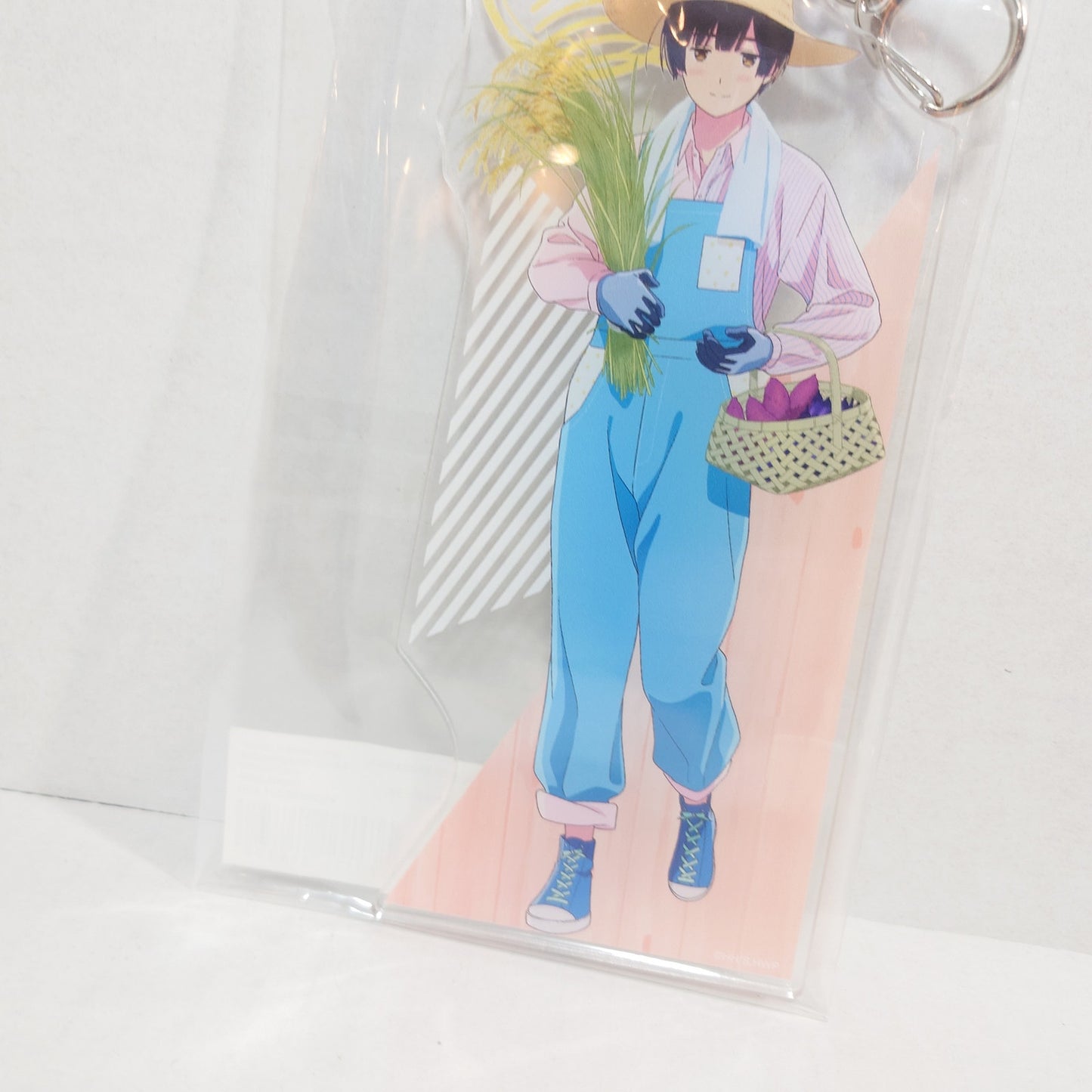Japan Hetalia World Stars Farming BIG Acrylic Keychain