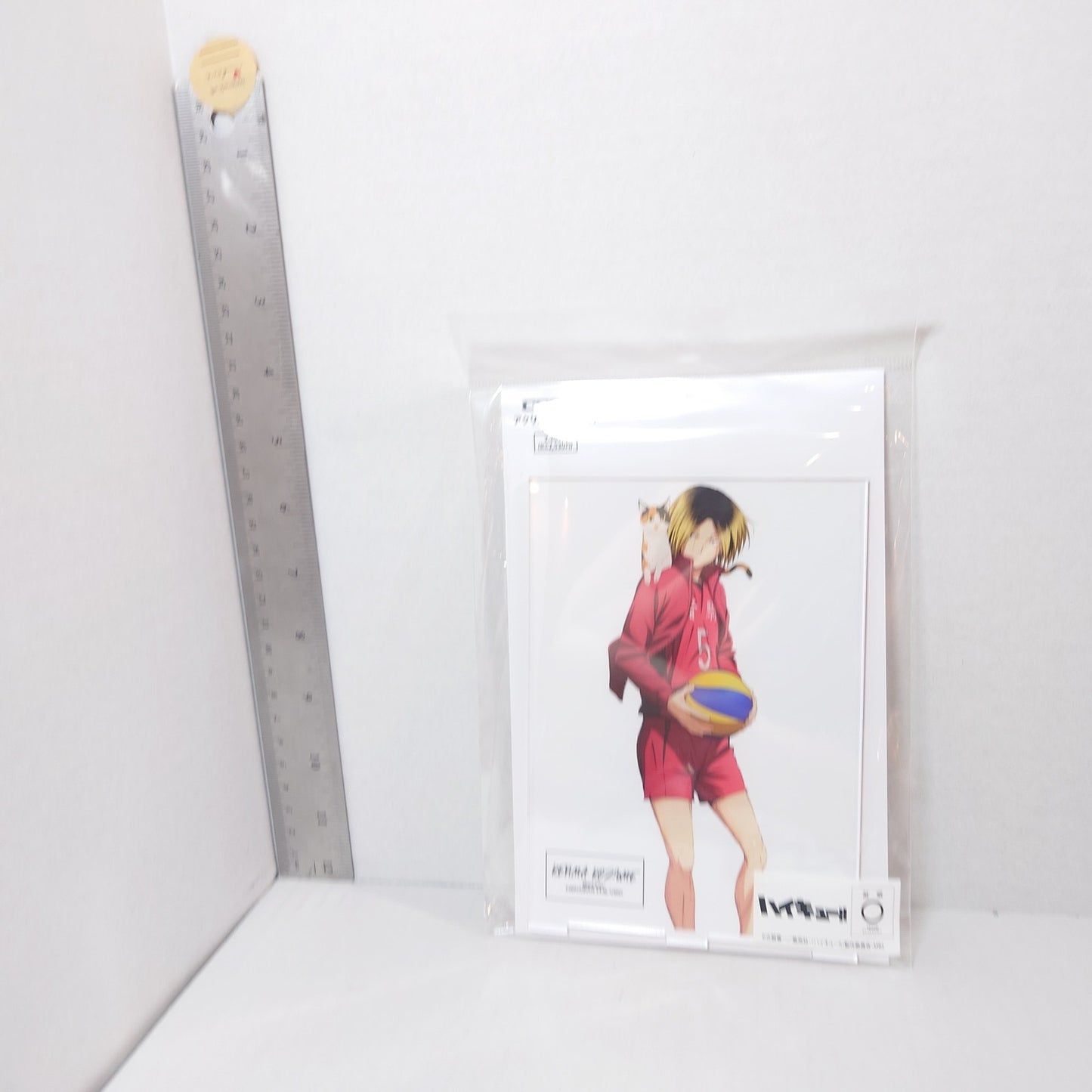 Kenma Kozume Haikyuu!! Acrylic Panel/Stand