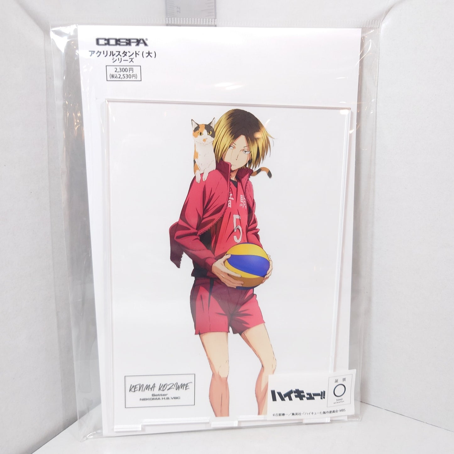 Kenma Kozume Haikyuu!! Acrylic Panel/Stand