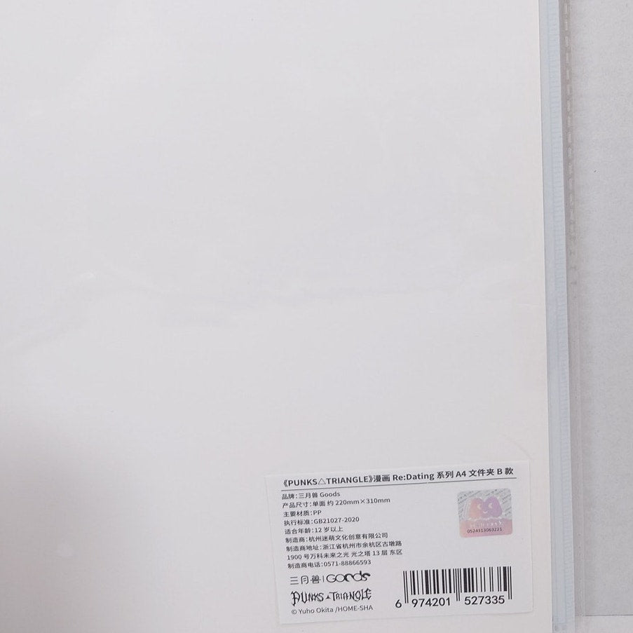 PUNKS△TRIANGLE Clear File Ver.B