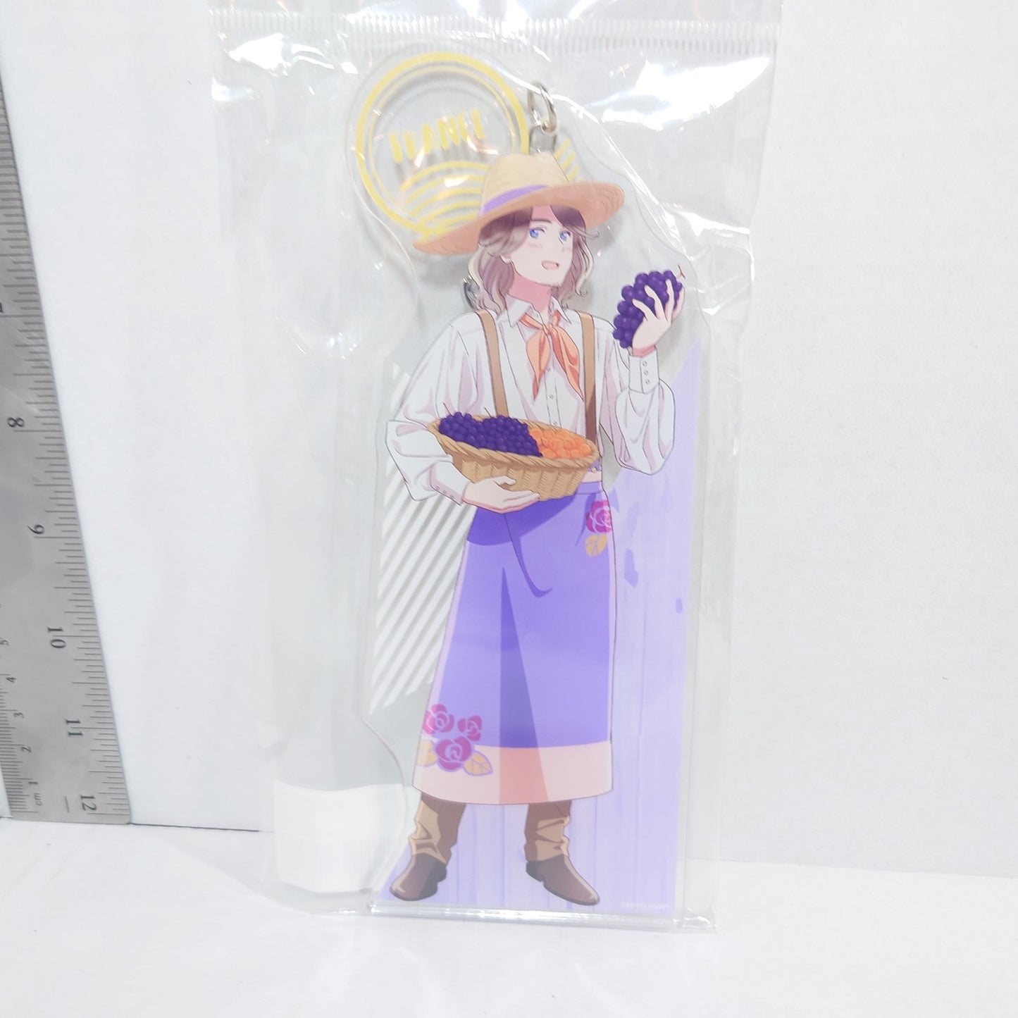 France Hetalia World Stars Farming BIG Acrylic Keychain