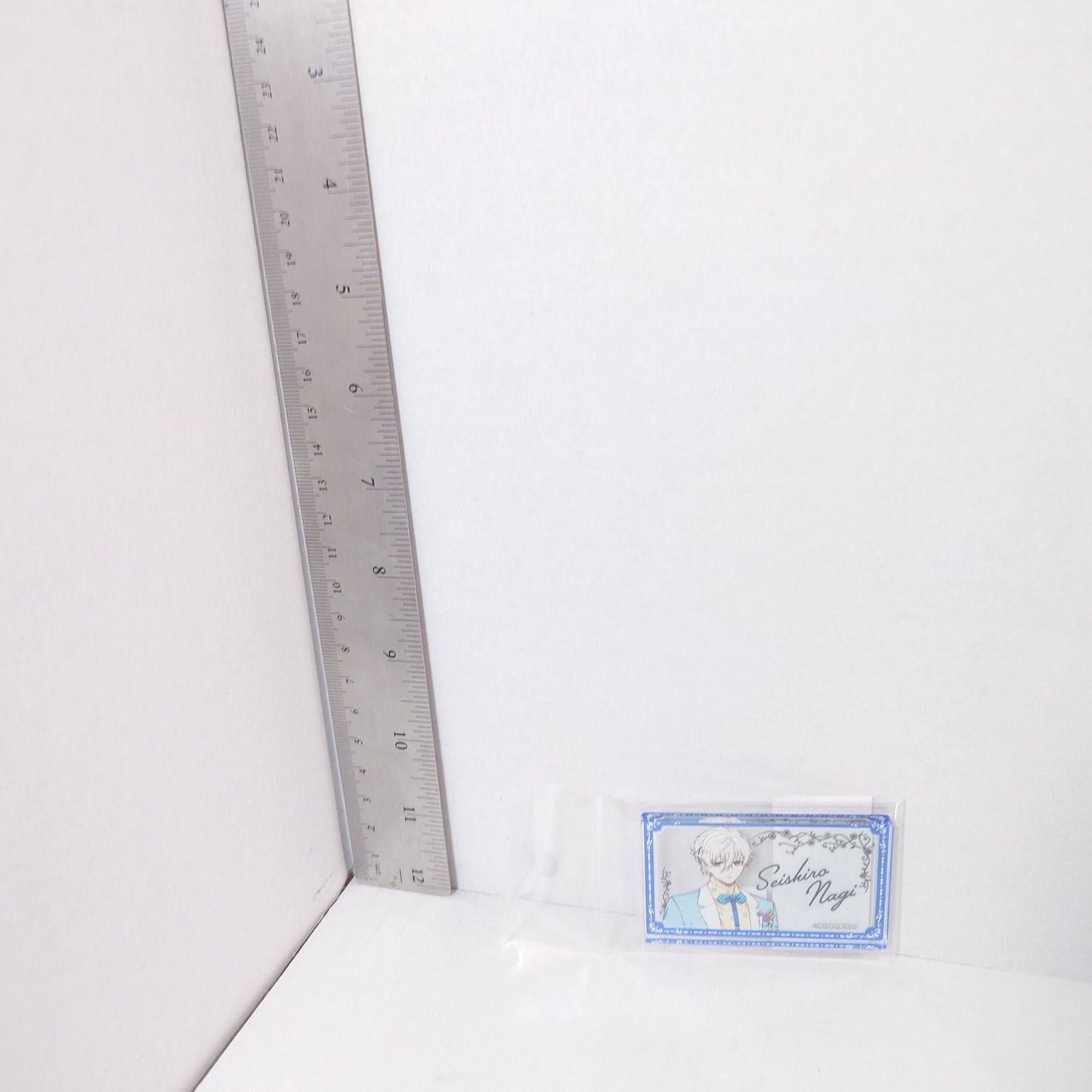 Nagi Seishirou Blue Lock Acrylic Domino
