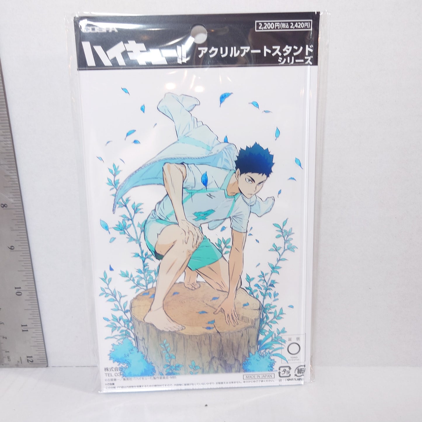 Hajime Iwaizumi Haikyuu!! Acrylic Panel/Stand