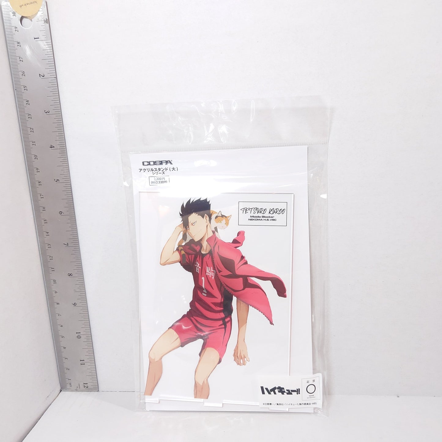 Tetsuro Kuro Haikyuu! Acrylic Panel/Stand
