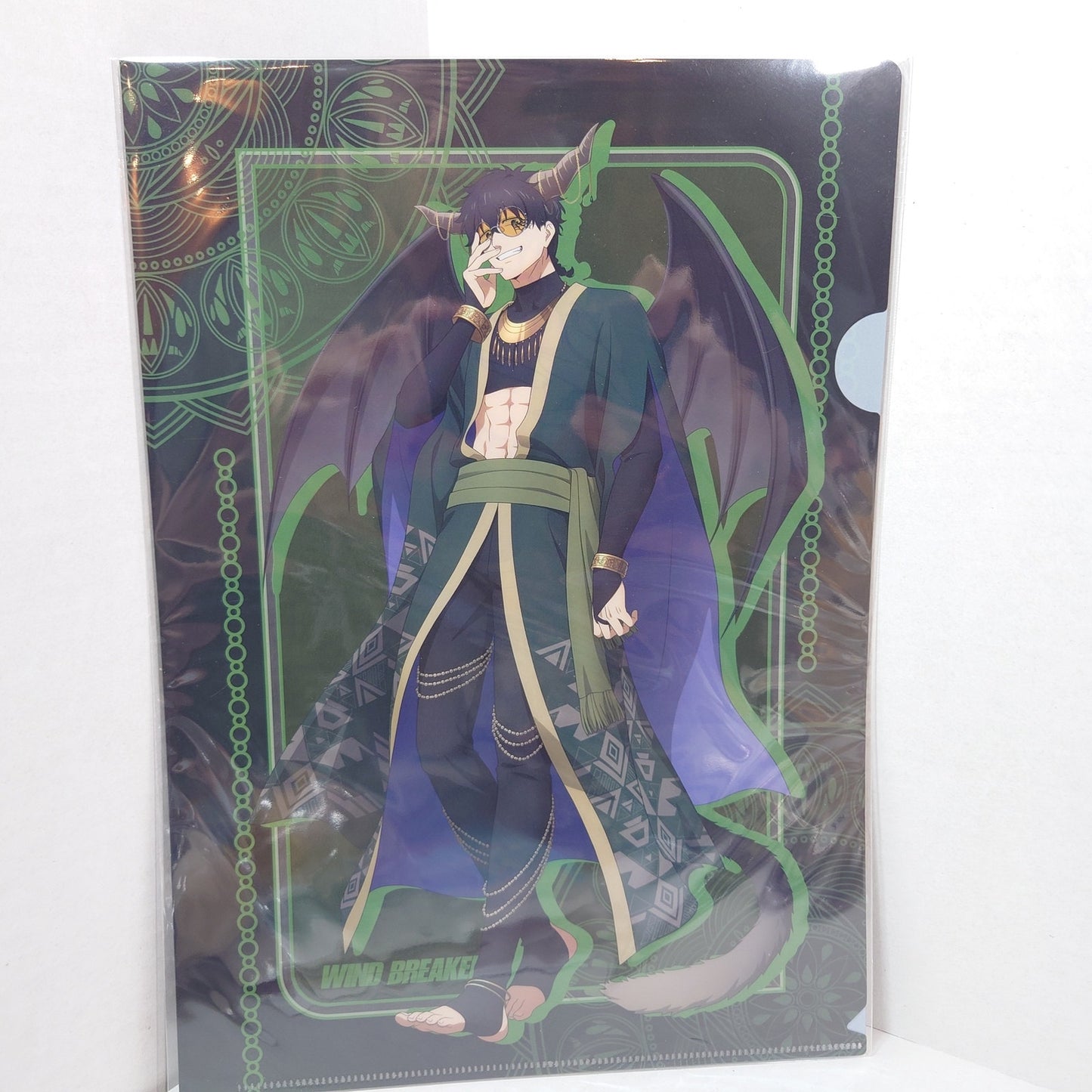 Jo Togame WIND BREAKER Clear File