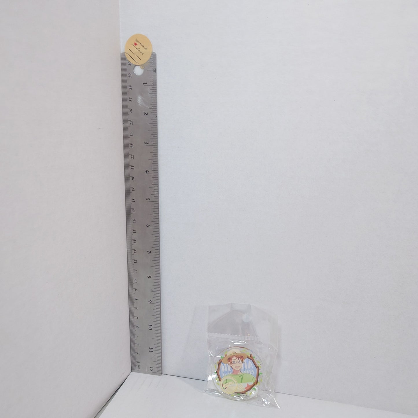 America Hetalia Acrylic Clip