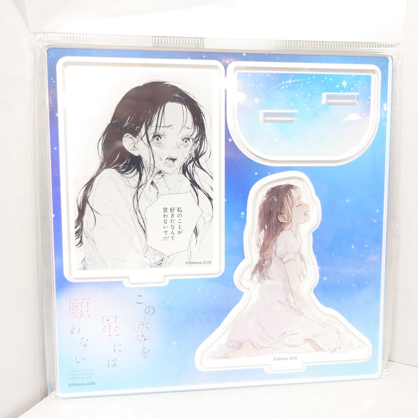 Fuyuki There is No Love Wishing Upon a Star Acrylic Stand Diorama