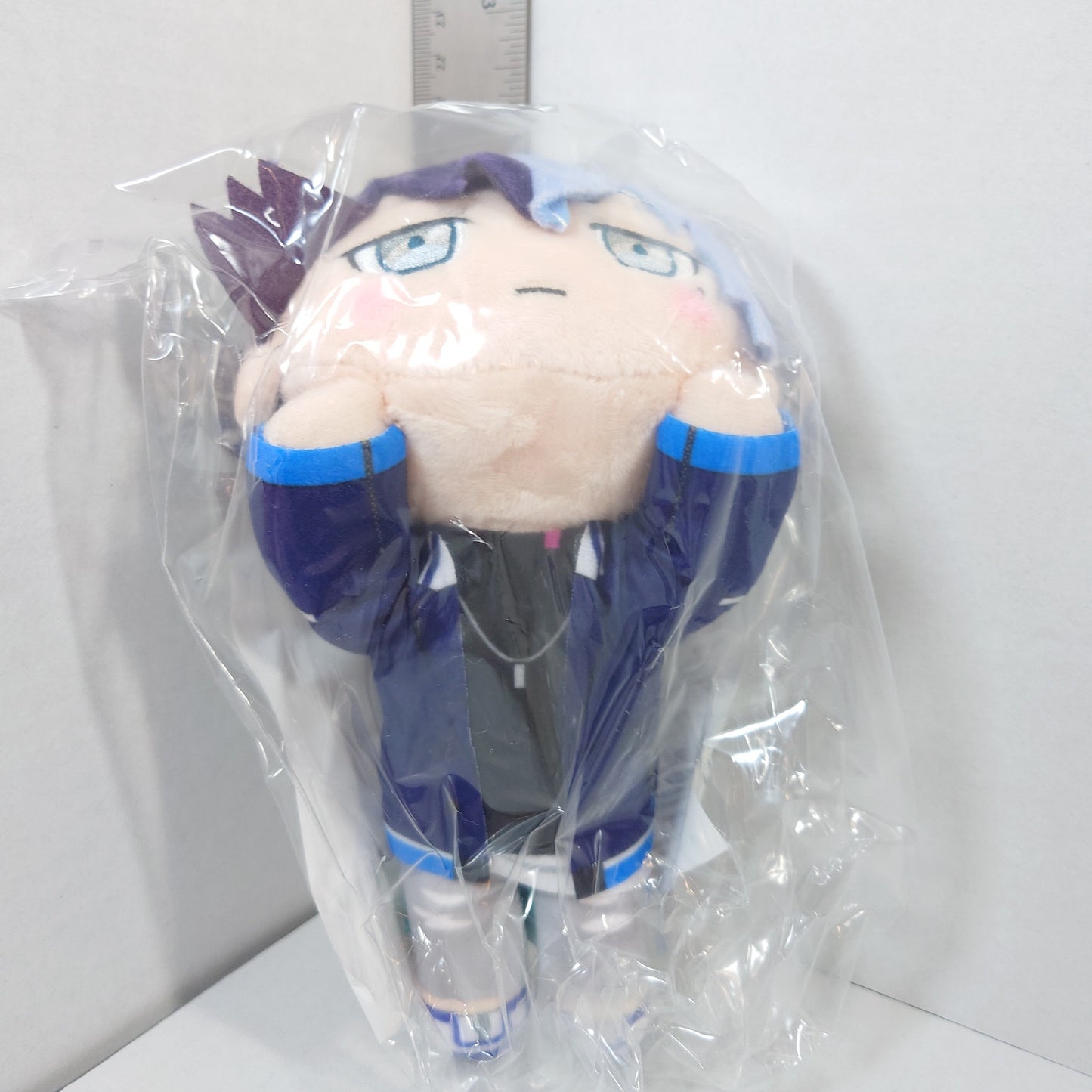Toya Aoyagi Vivid Bad Squad Project Sekai Nesoberi Plush