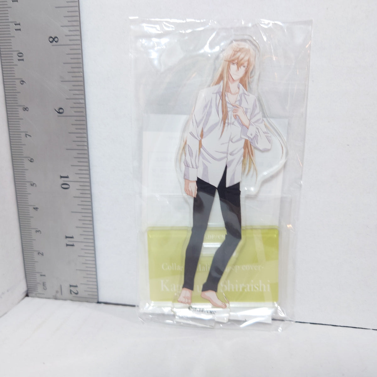 Kageyuki Shiraishi Collar x Malice Acrylic Stand