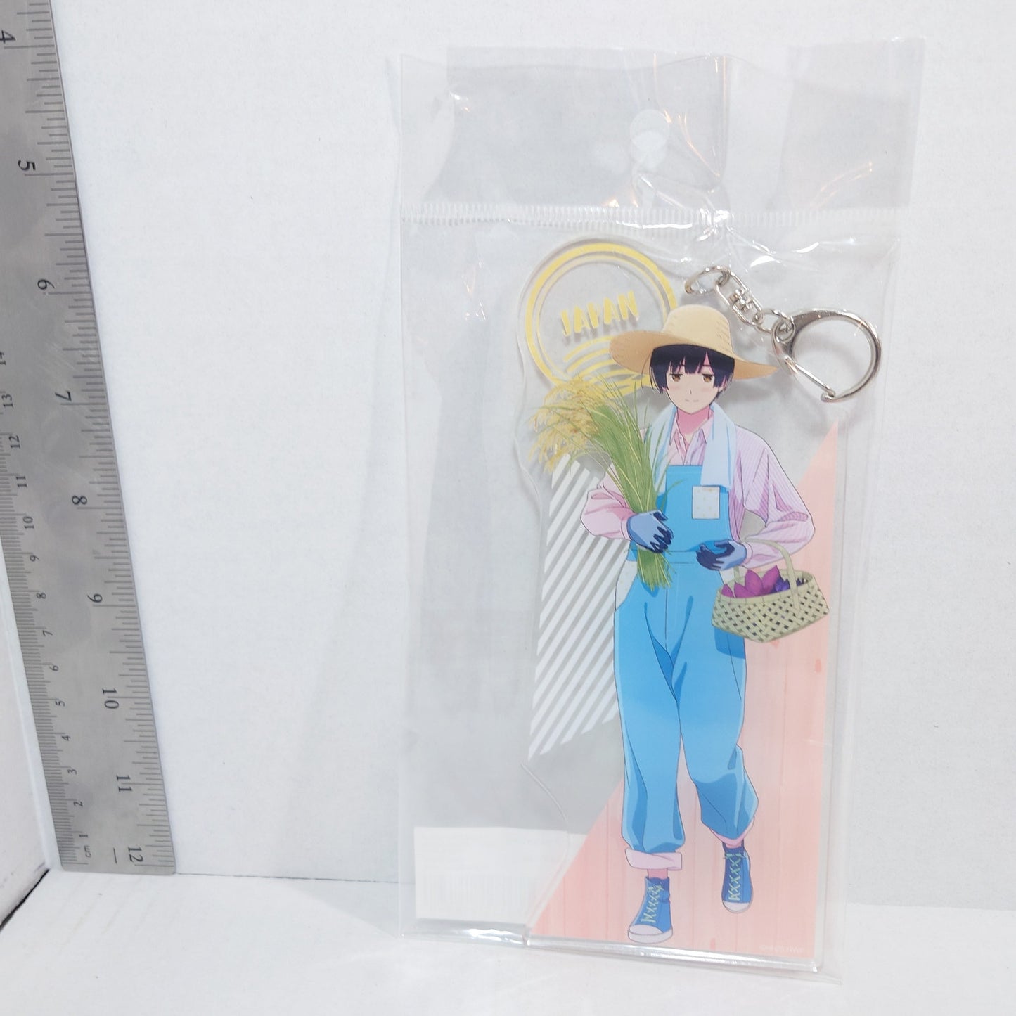 Japan Hetalia World Stars Farming BIG Acrylic Keychain
