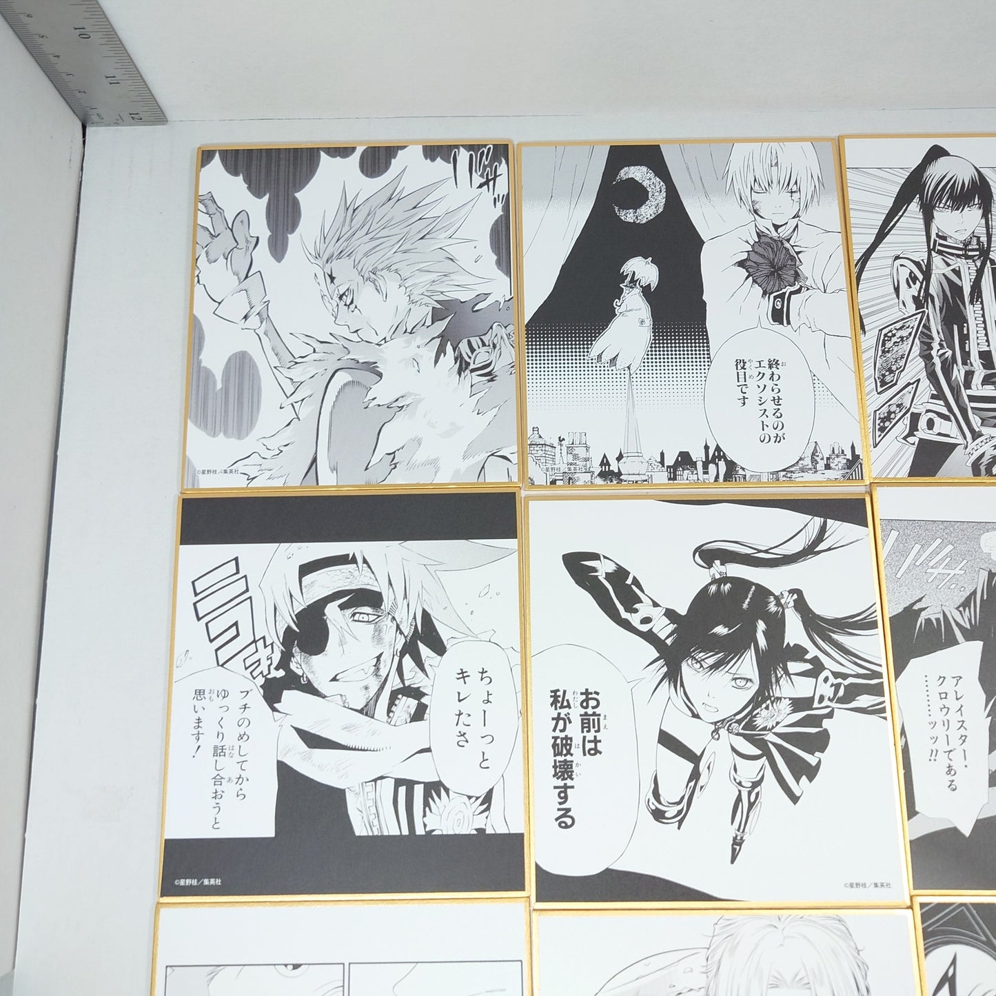 COMPLETE SET D.Gray-man Trading Skishiki