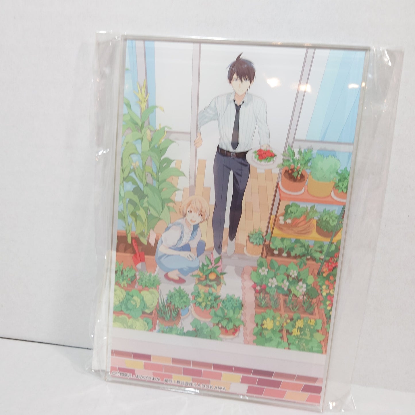 Oiishi Veranda Fujimi Bunko 10th Anniversary Acrylic Stand