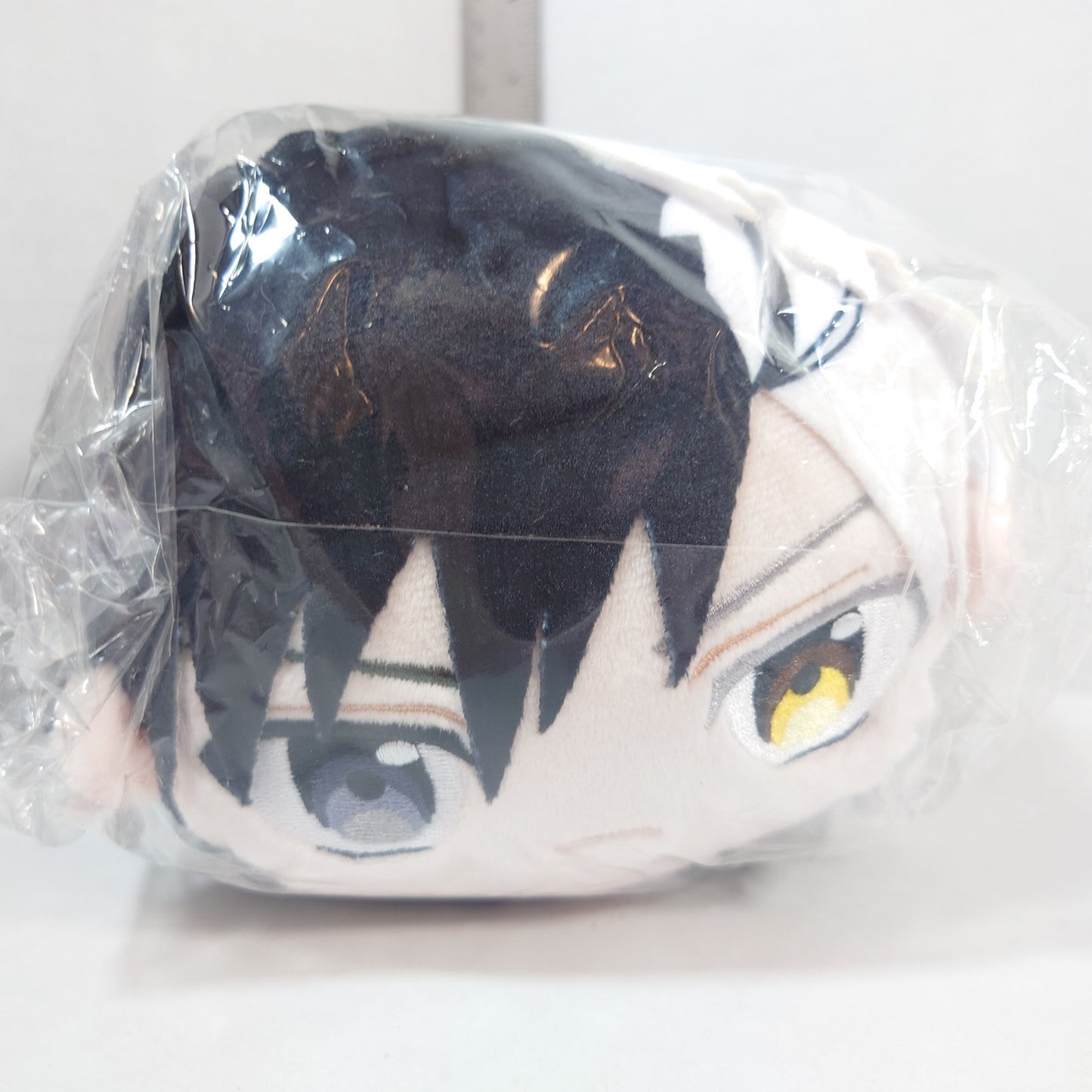 Sakura Haruka WIND BREAKER Mochikororin Plush M Size Ver