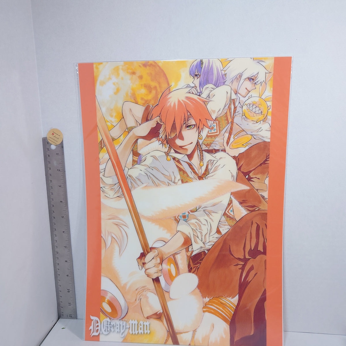 Lavi D.Gray-man Plastic Poster
