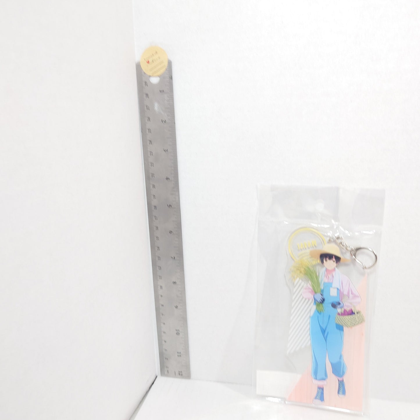 Japan Hetalia World Stars Farming BIG Acrylic Keychain