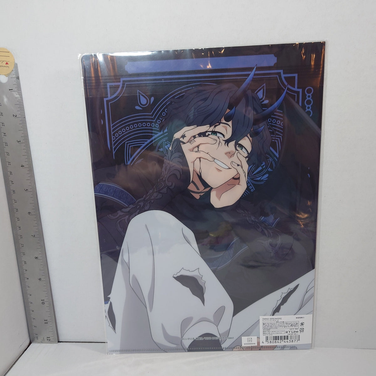 Endo Yamato WIND BREAKER Clear File