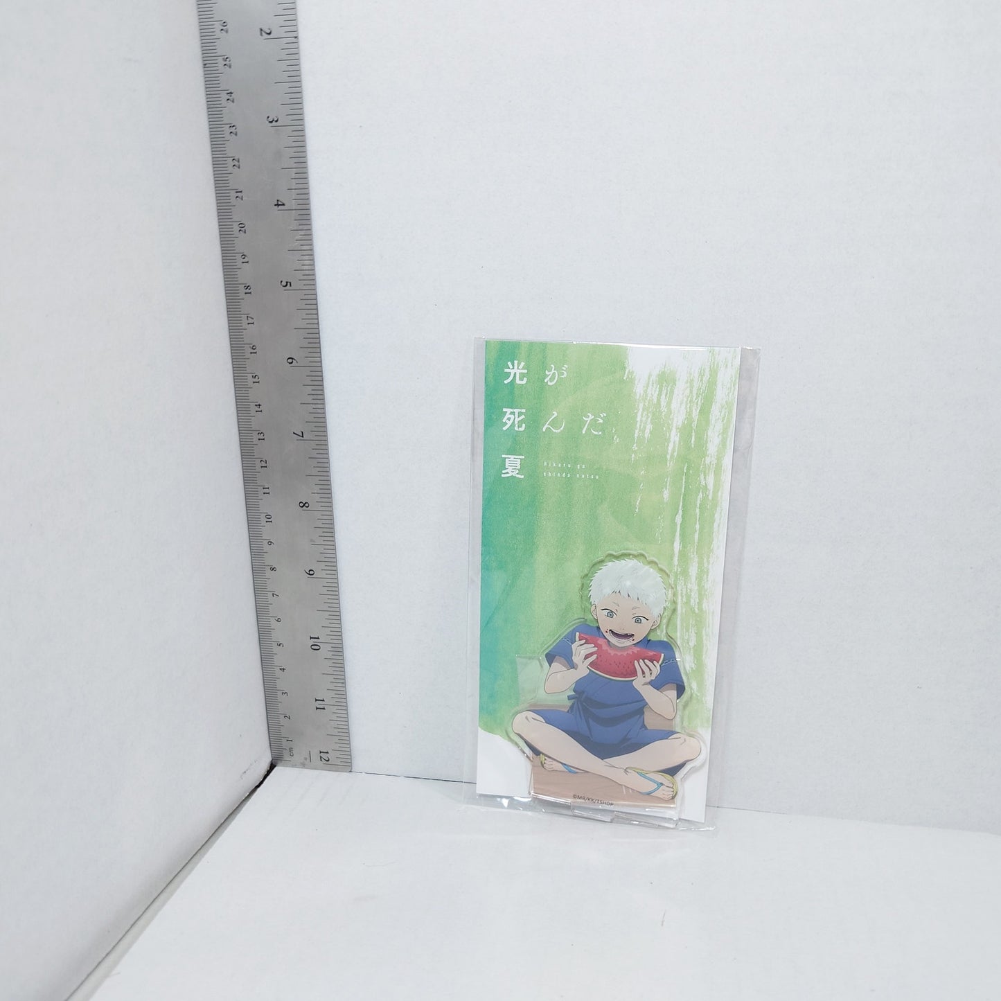 Hikaru The Summer Hikaru Died Acrylic Stand