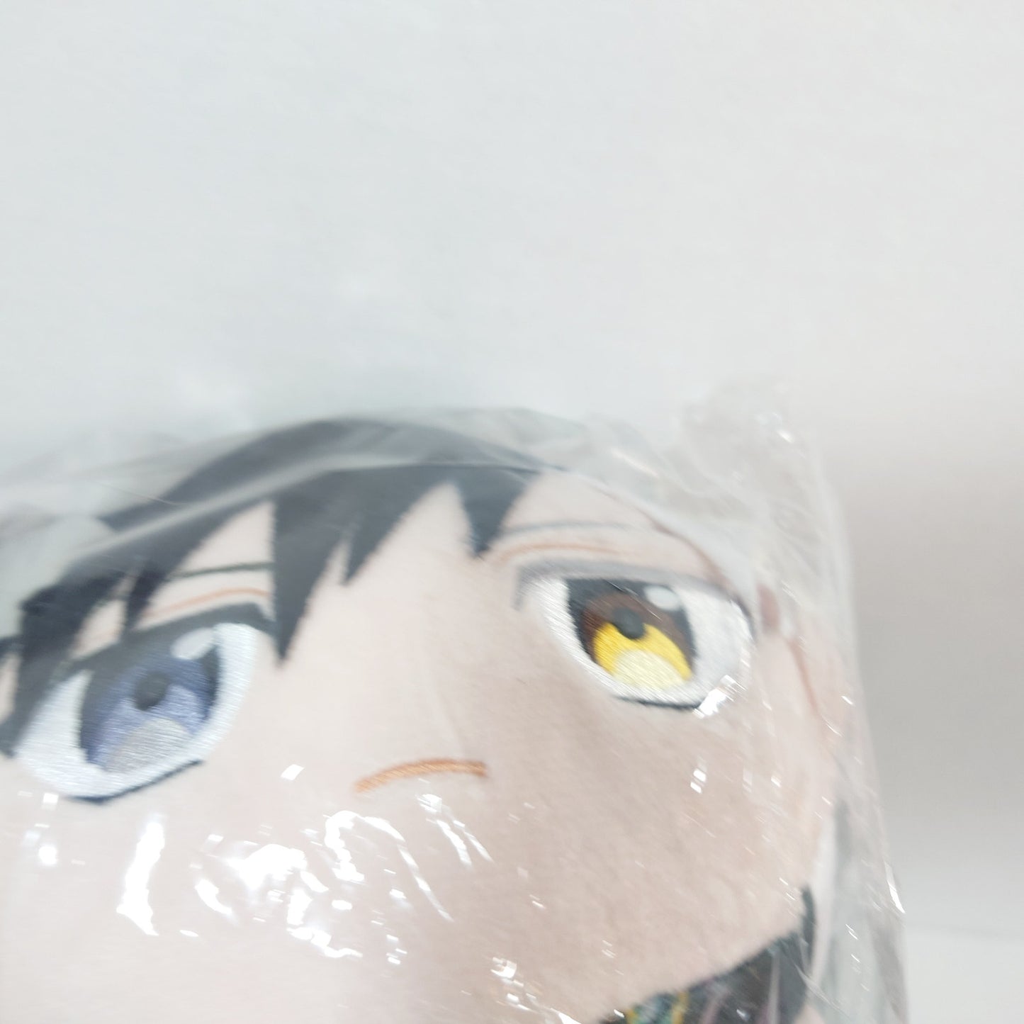 Sakura Haruka WIND BREAKER Mochikororin Plush M Size Ver