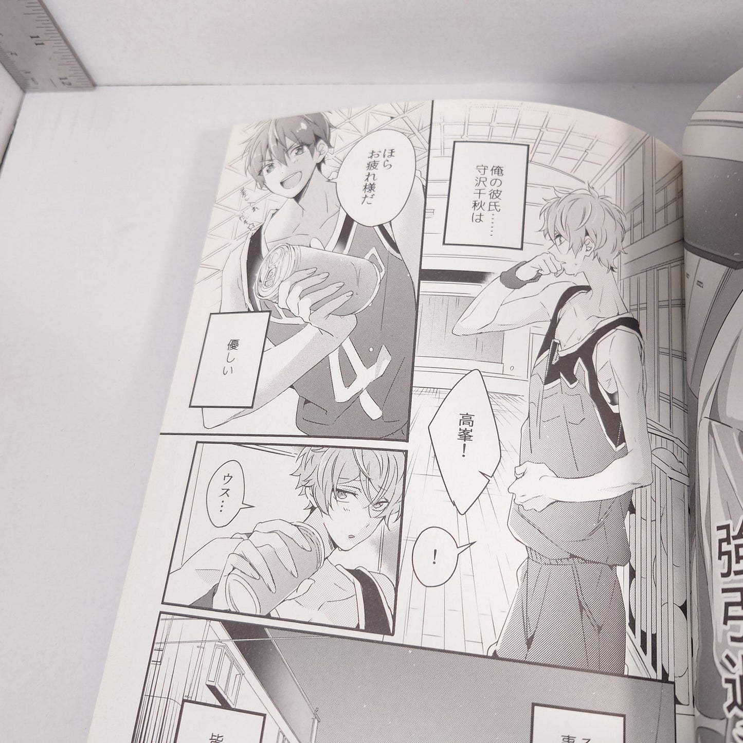 Chiaki Morisawa x Midori Takamine RYUSEITAI Ensemble Stars