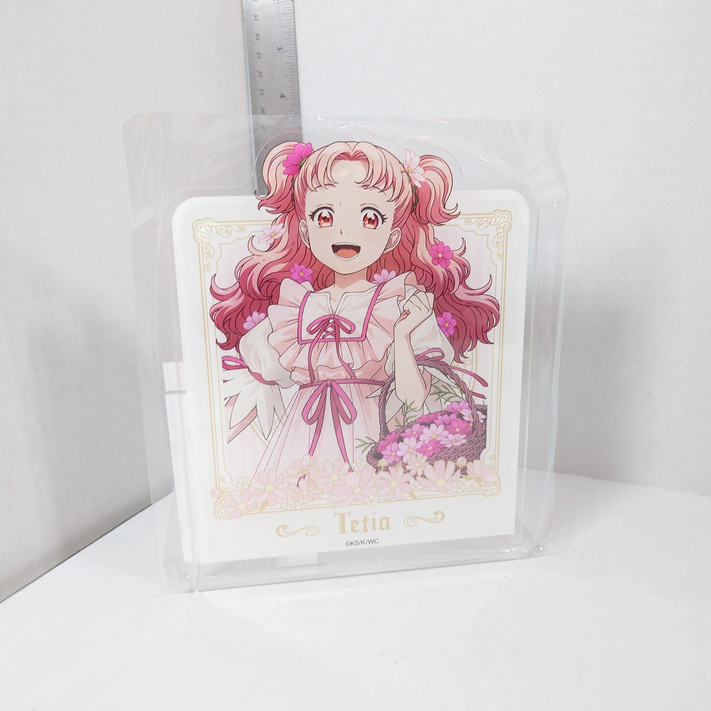 Tetia Witch Hat Atelier Acrylic Bookend Stand