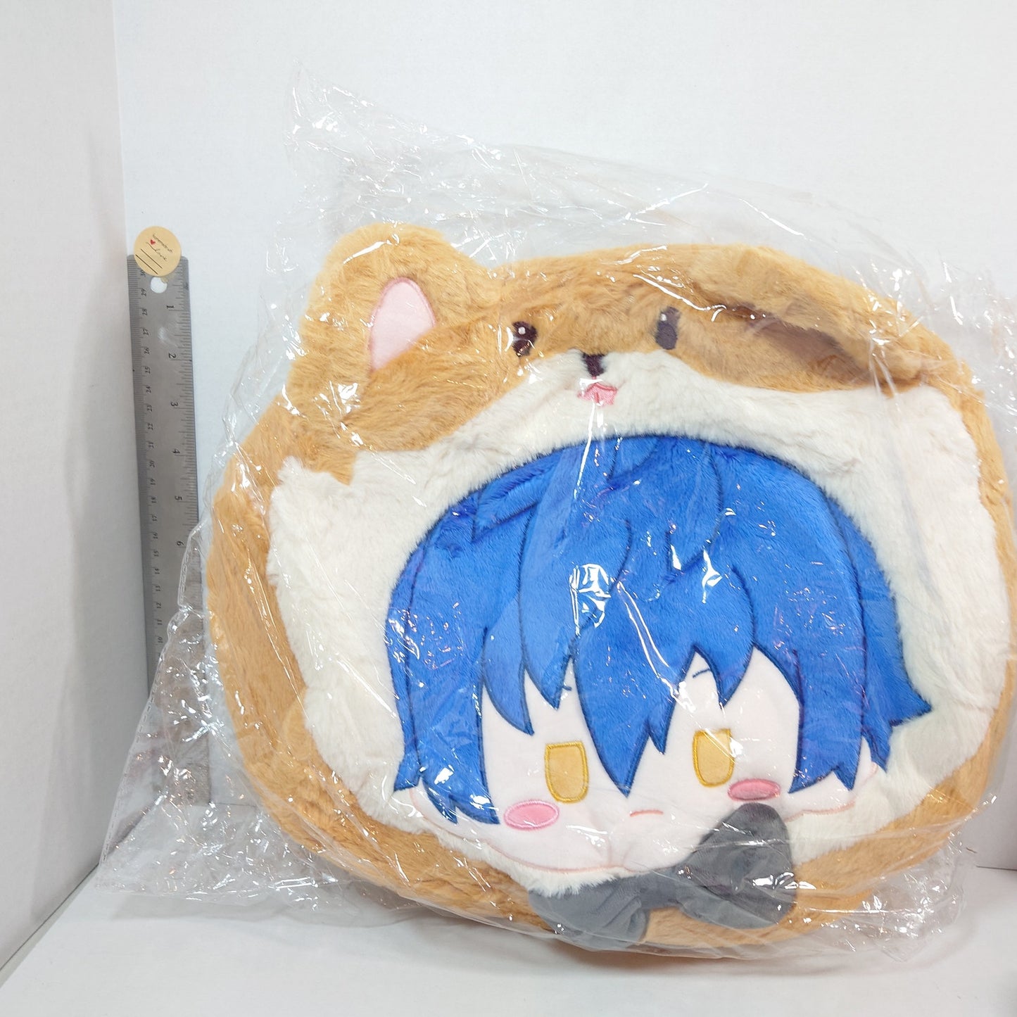 Jun Sazanami Eden Ensemble Stars CN TapTap Itabag