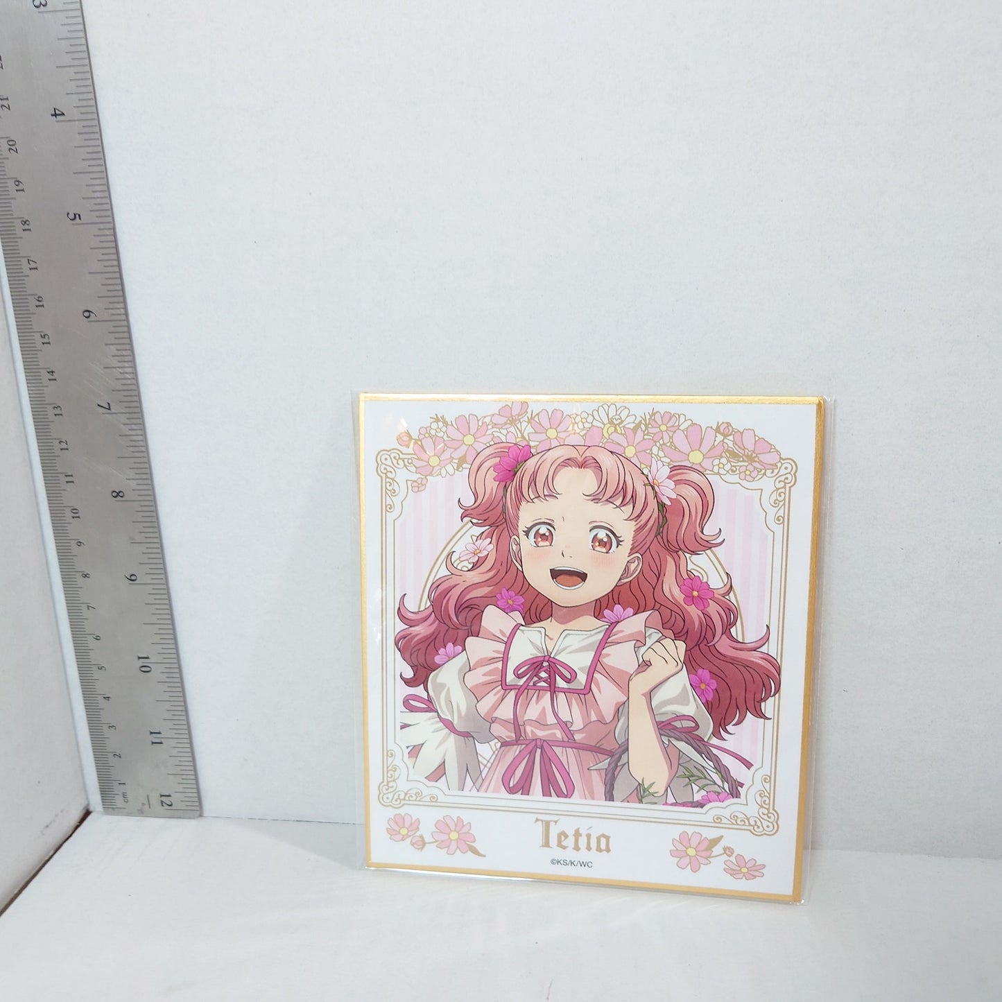 Tetia Witch Hat Atelier Shikishi