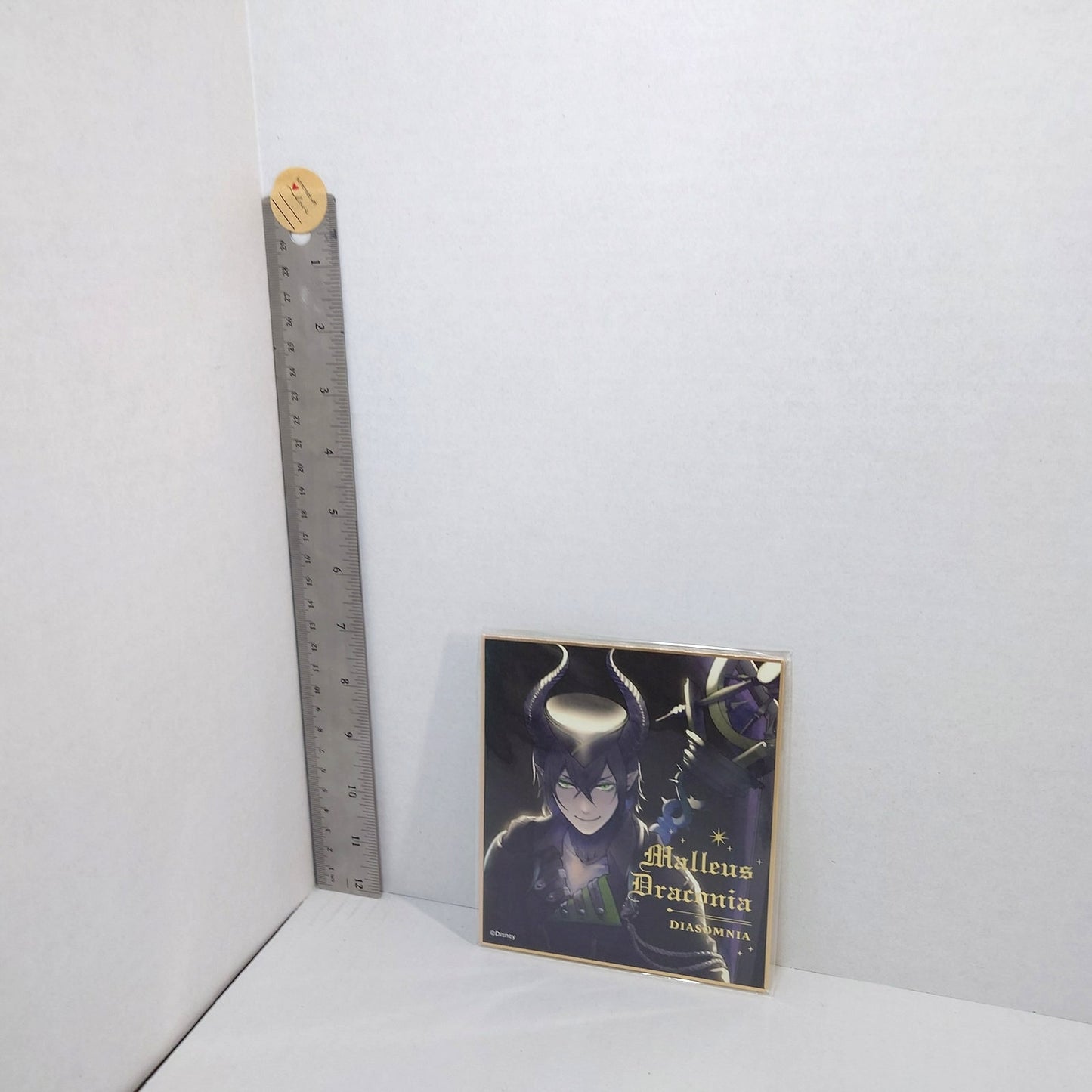 Malleus Draconia Diasomnia Twisted Wonderland Shikishi