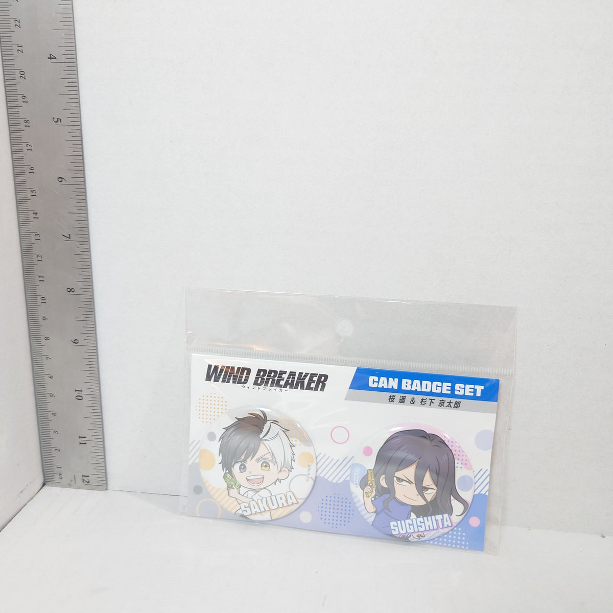 WIND BREAKER Badge Set
