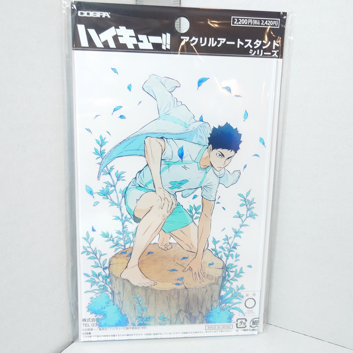 Hajime Iwaizumi Haikyuu!! Acrylic Panel/Stand