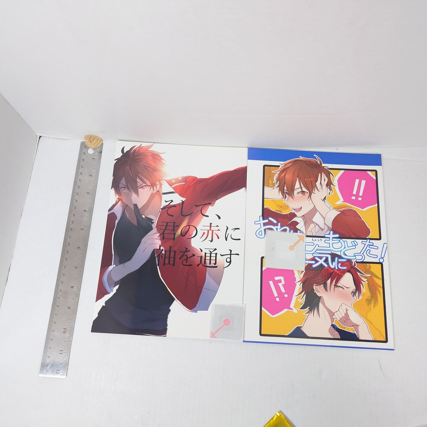 Chiaka Morisawa x Kuro Kiryu Ensemble Stars Set