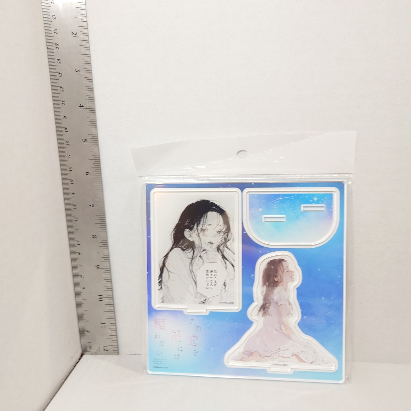 Fuyuki There is No Love Wishing Upon a Star Acrylic Stand Diorama