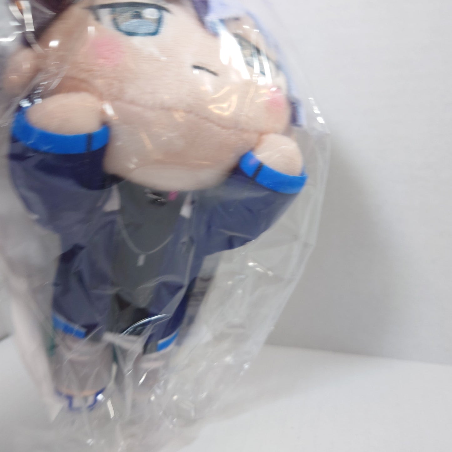 Toya Aoyagi Vivid Bad Squad Project Sekai Nesoberi Plush