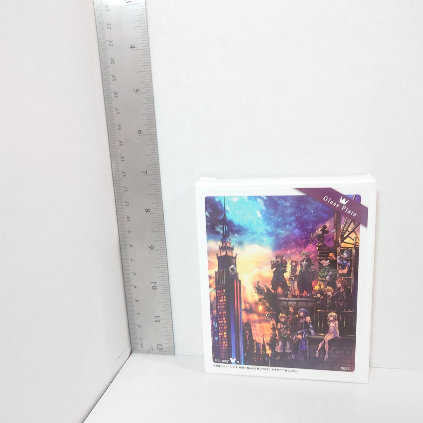 Kingdom Hearts III Glass Plate