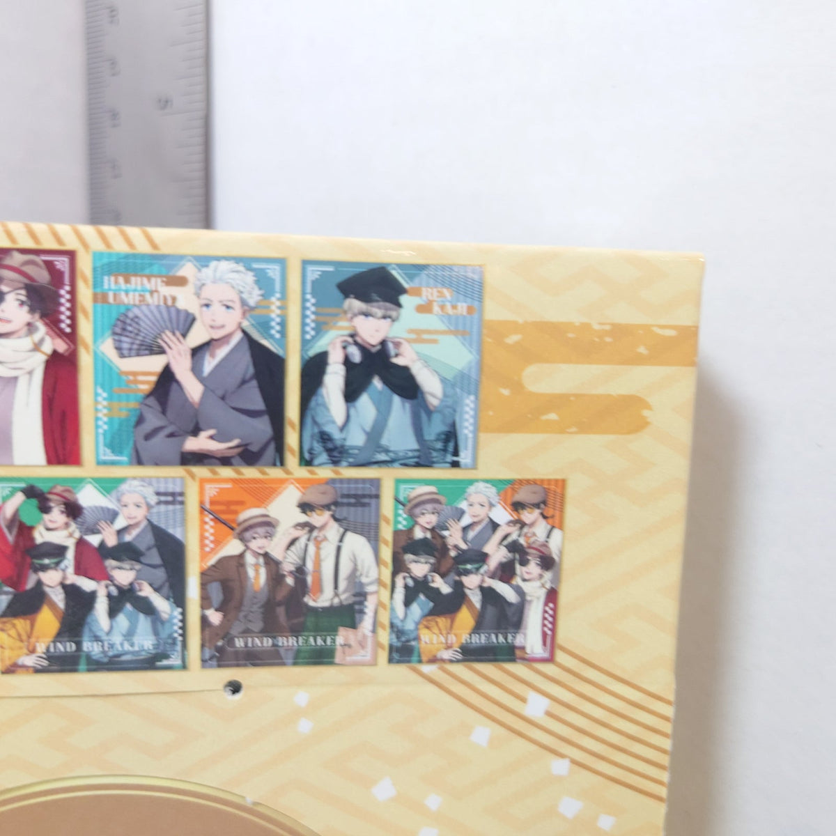 WIND BREAKER Retro Modern Shikishi Box Set