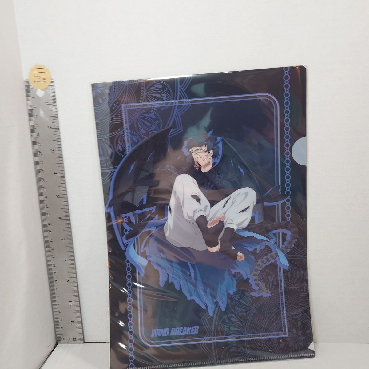 Endo Yamato WIND BREAKER Clear File