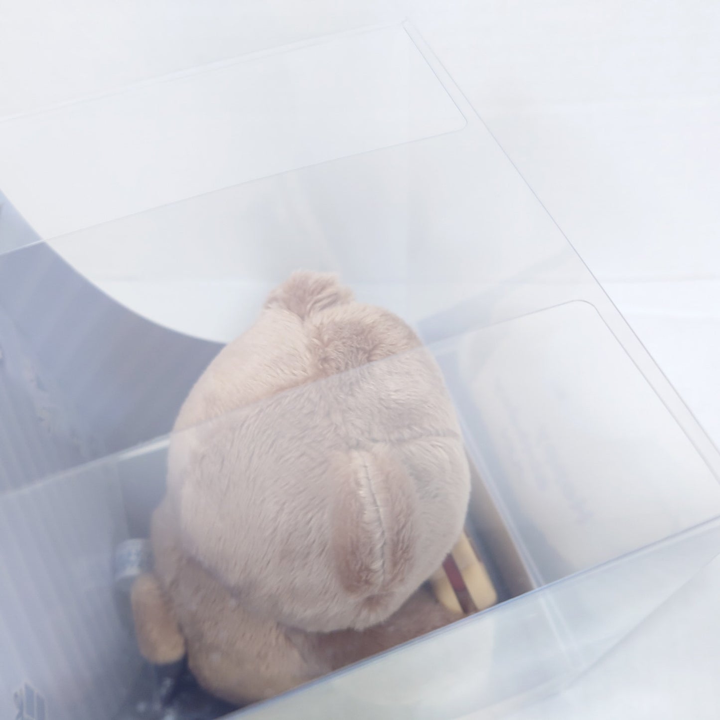 Jun Sazanami Eden Ensemble Stars Birthday Bear Plush
