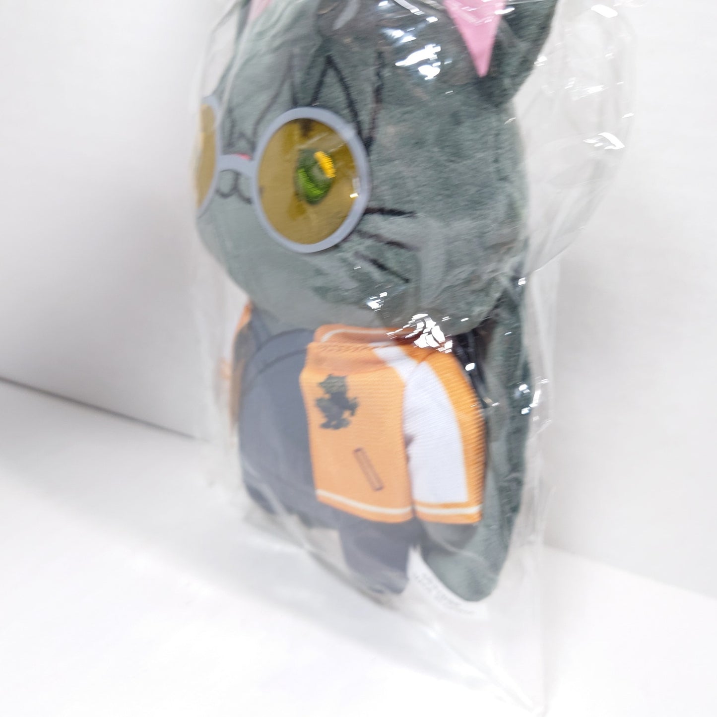 Jo Togame WIND BREAKER WithCat