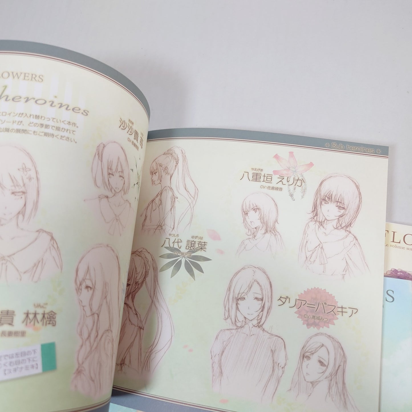 Flowers le volume Official Fanbook Set