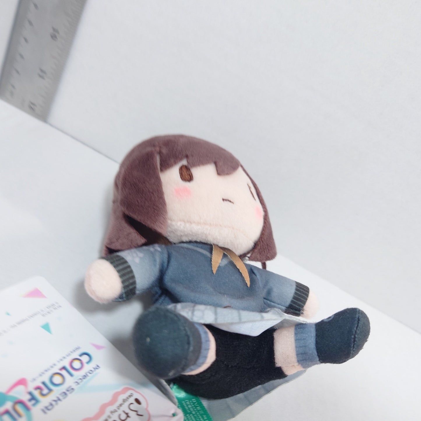 Ena Shinonome 25-ji, Nightcord de Project Sekai Fuwapuchi Plush