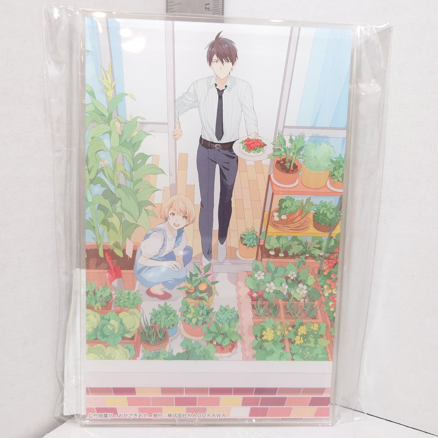 Oiishi Veranda Fujimi Bunko 10th Anniversary Acrylic Stand