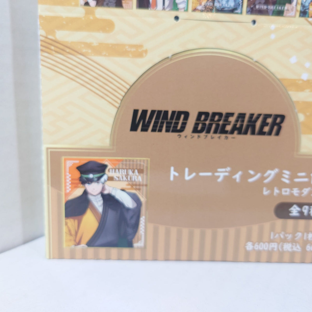 WIND BREAKER Retro Modern Shikishi Box Set