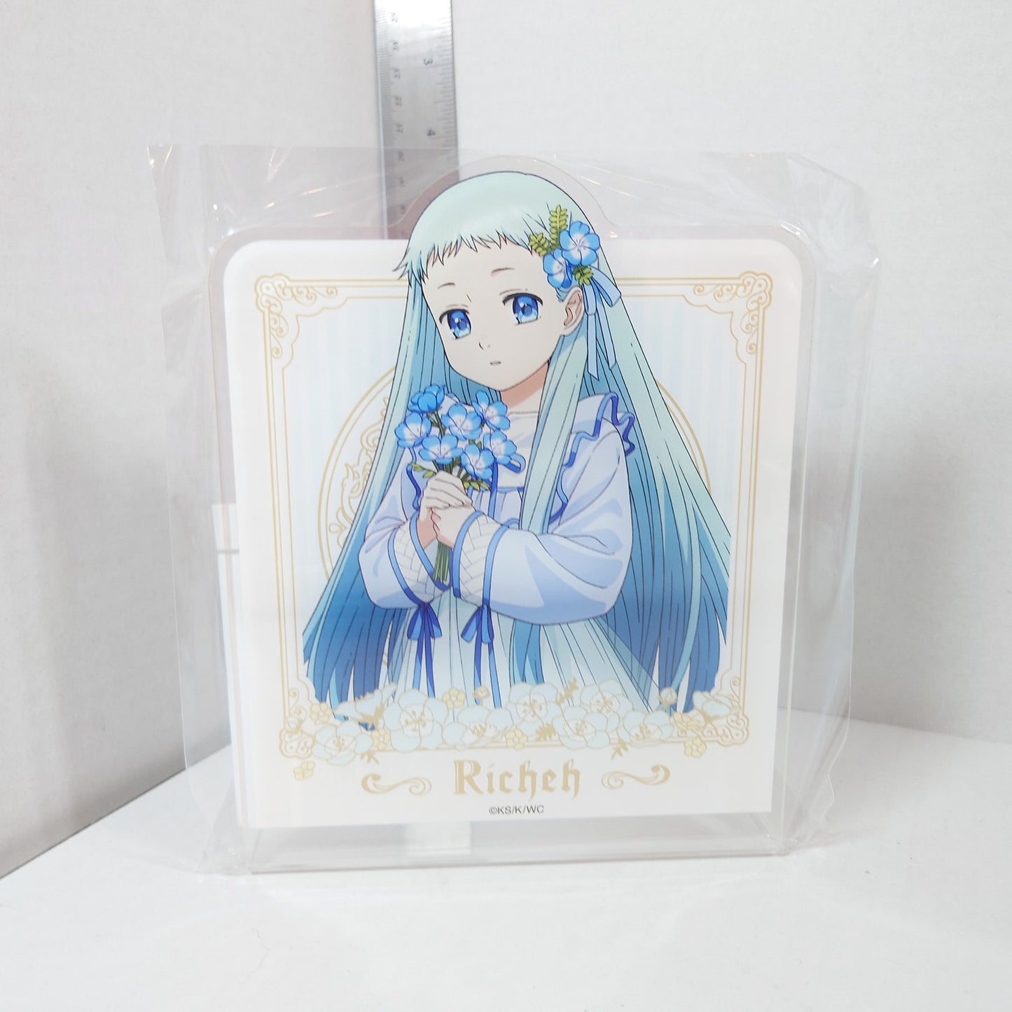 Richeh Witch Hat Atelier Acrylic Bookend Stand