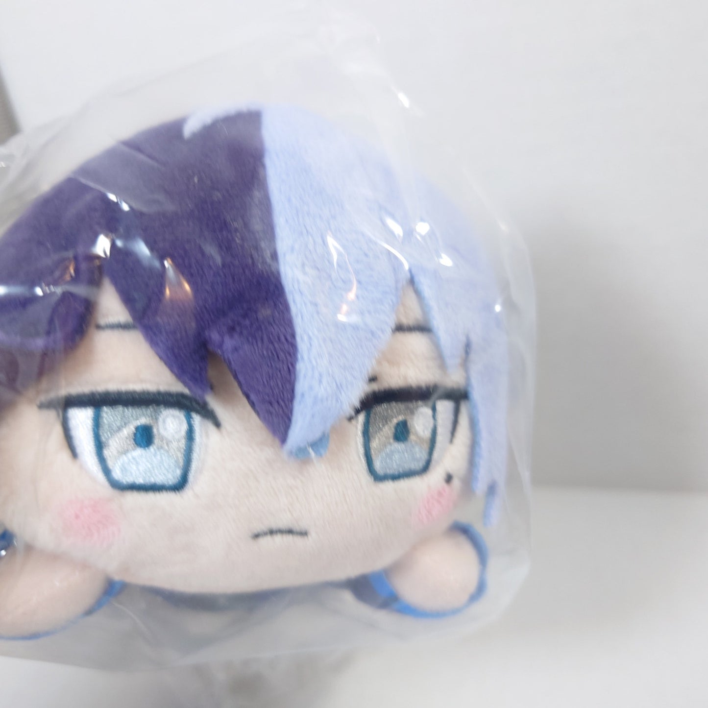 Toya Aoyagi Vivid Bad Squad Project Sekai Nesoberi Plush