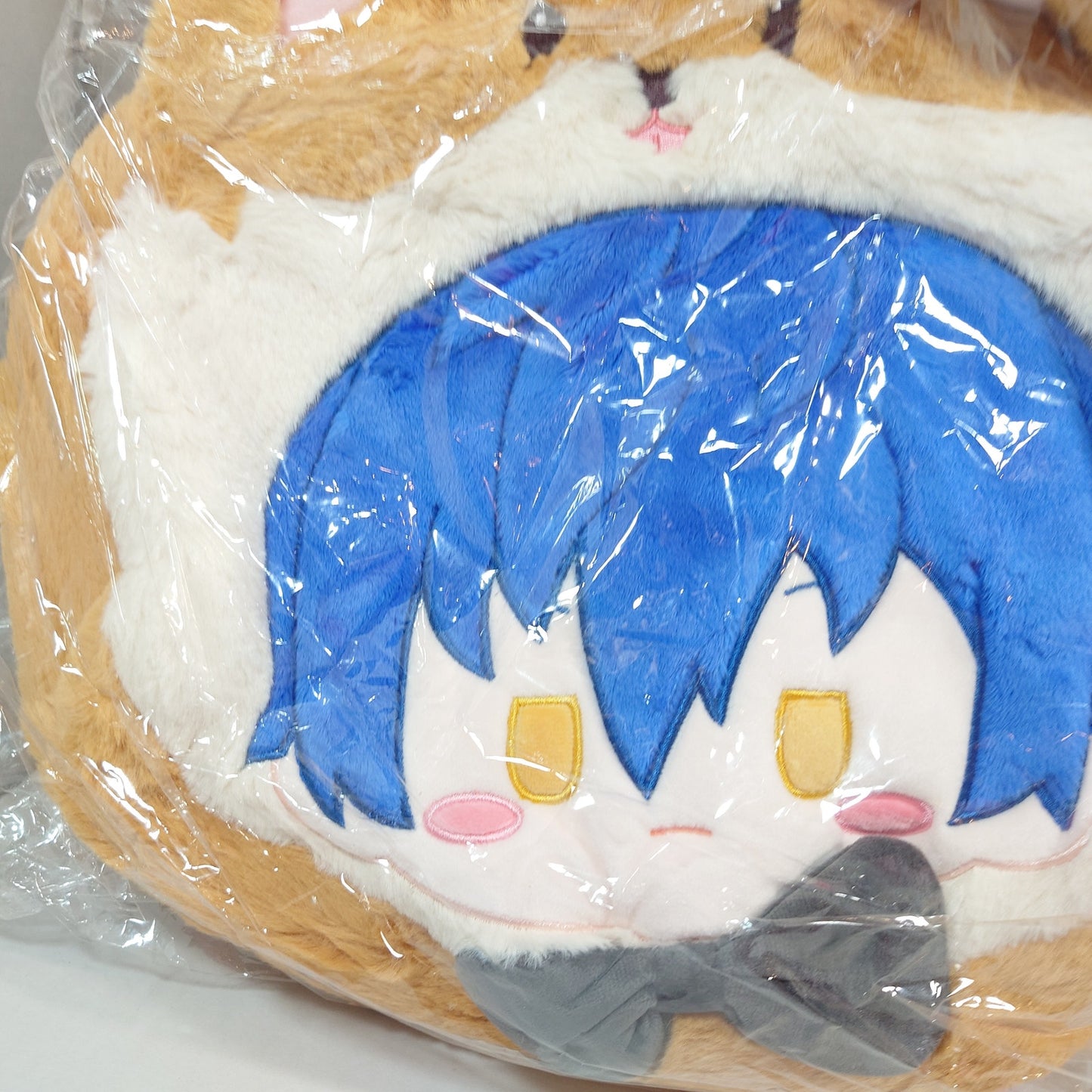 Jun Sazanami Eden Ensemble Stars CN TapTap Itabag